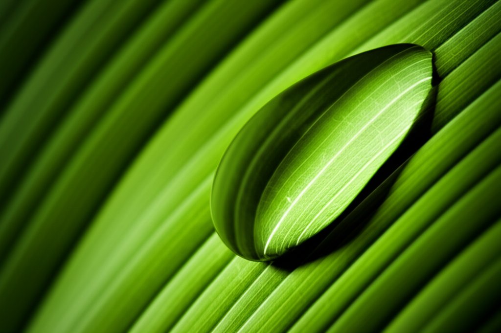 Best Electrician in Walnut Creek for reliable home service.